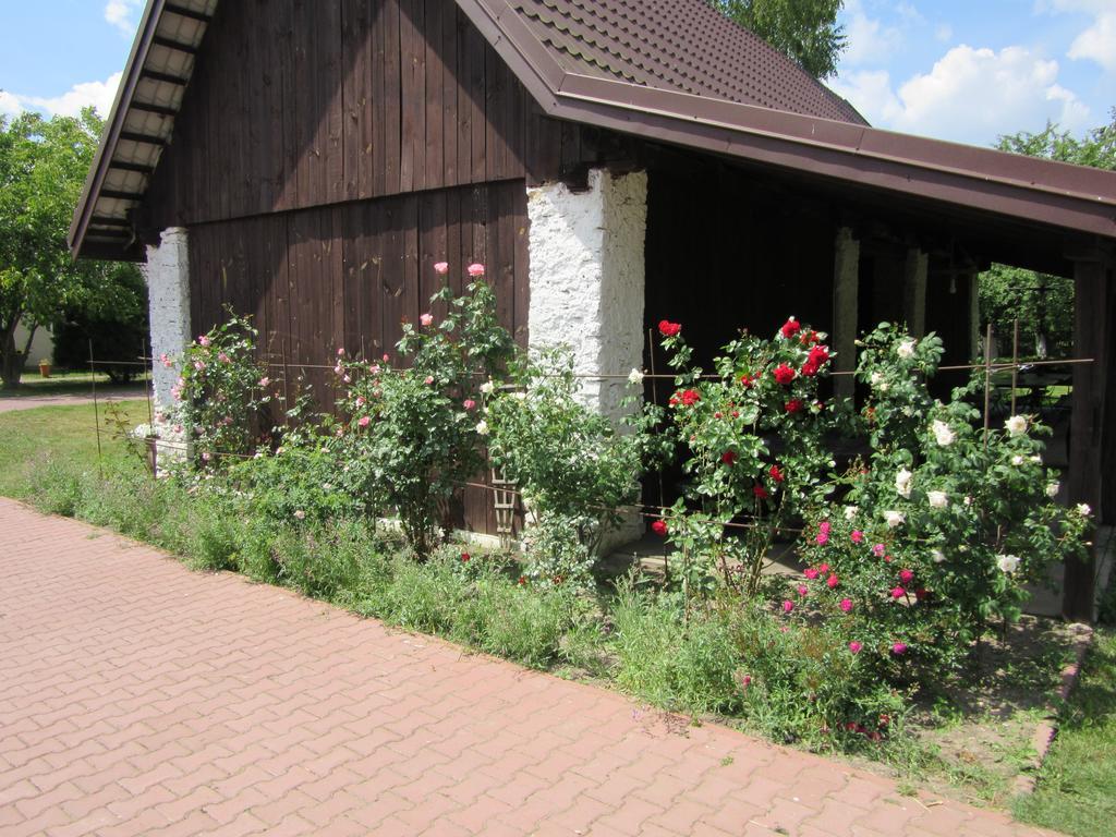 Gospodarstwo Agroturystyczno-Edukacyjne Gratka Celiny  Экстерьер фото